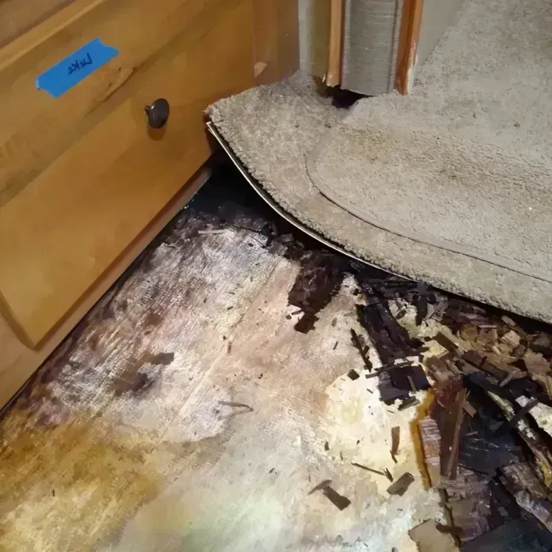 Wood Floor Water Damage in New London, MN